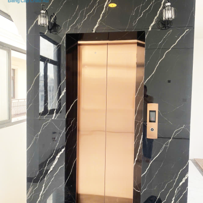 thang-máy-tải-khách-thang-máy-sài-gòn-6